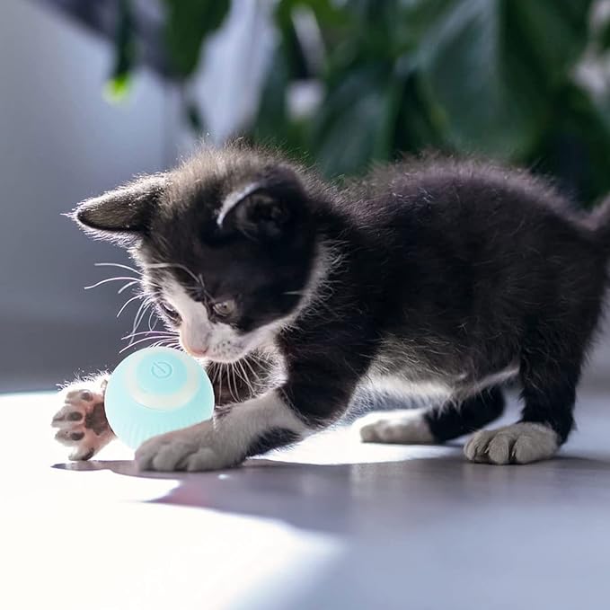 Bola de juguete interactivo para gatos azul - additional image 17